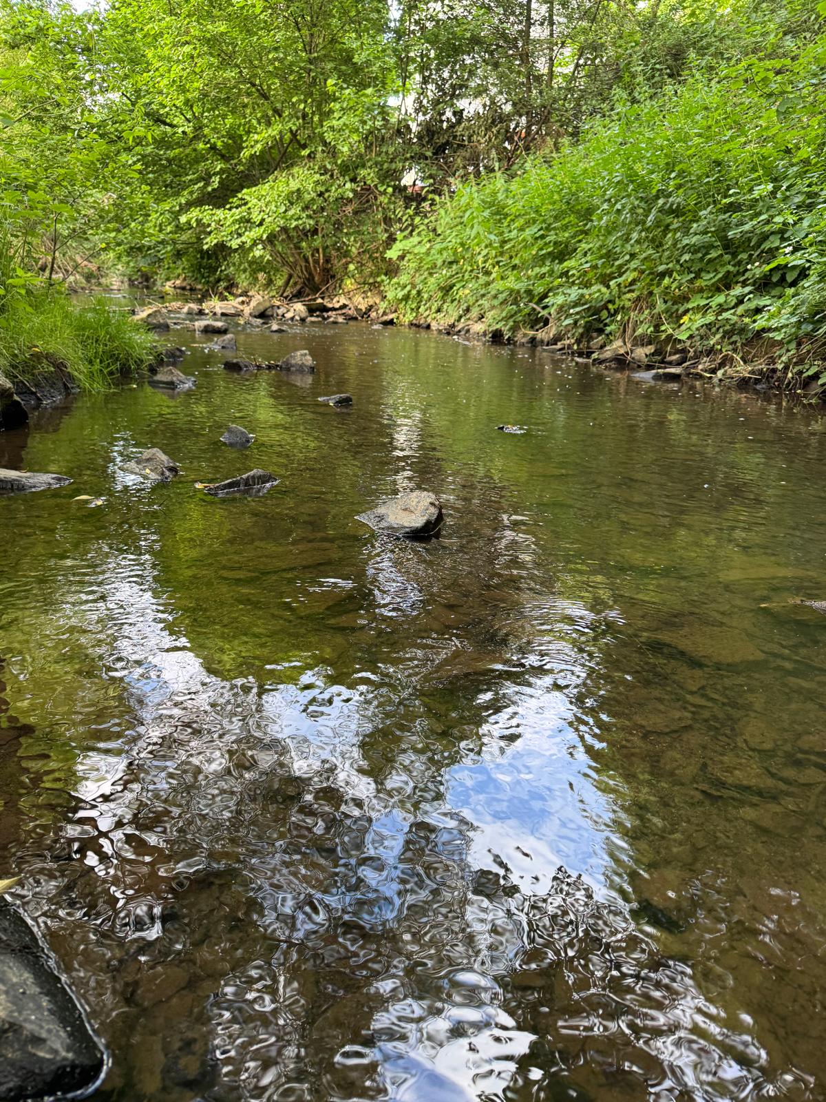 Klares Wasser mit Kies und Steinen im Simmerbach