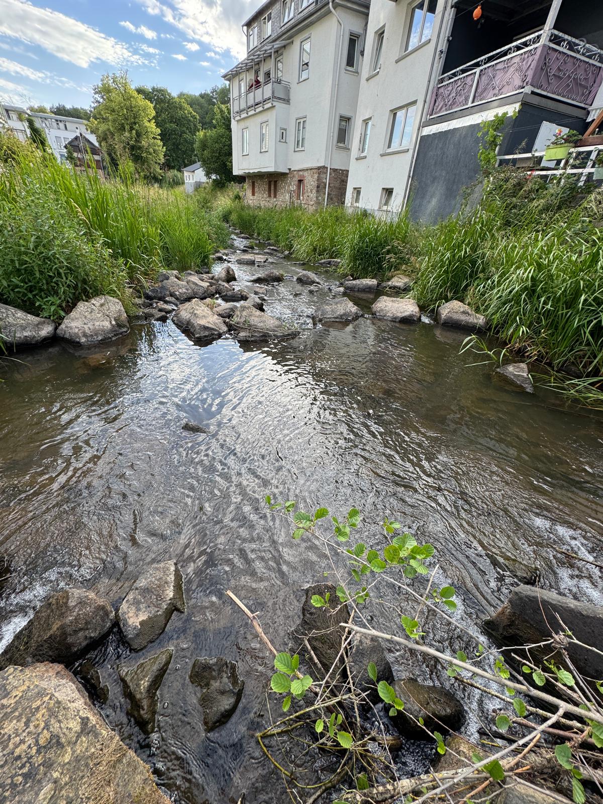 Renaturierter Bachabschnitt in Simmern