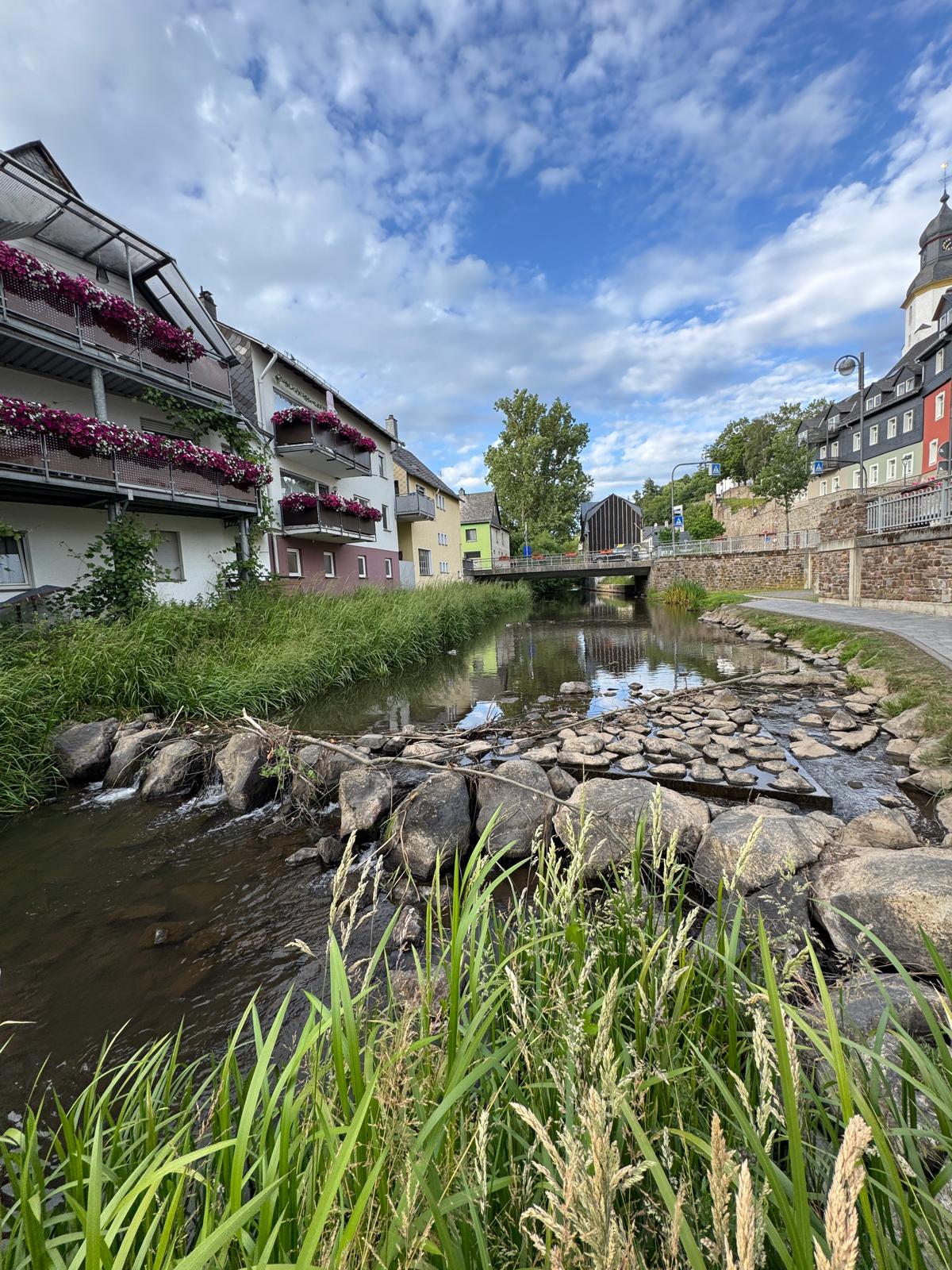 Simmerbach in Simmern mit Stadtansicht