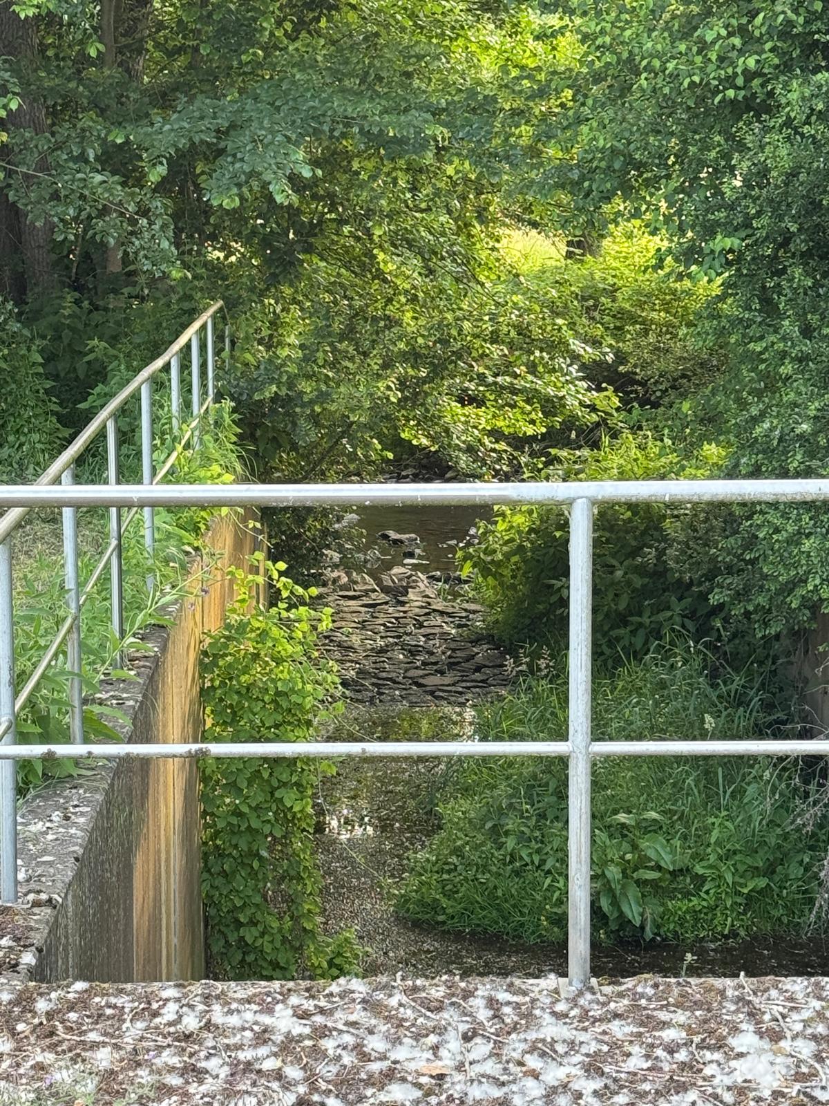 Ruhiger Kolk am Simmerbach